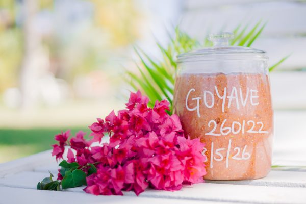 Guava